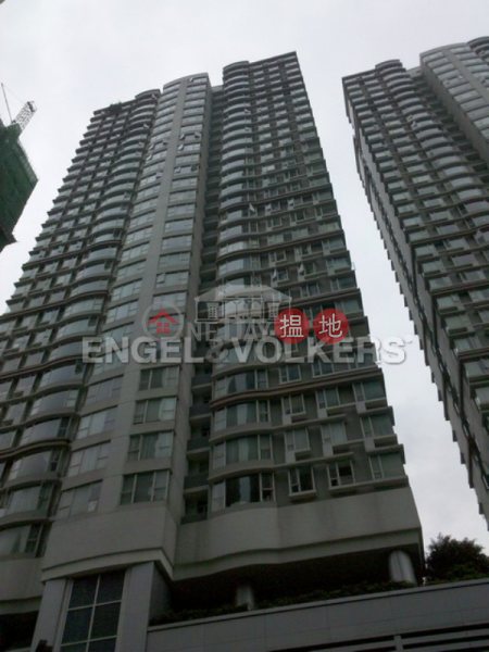 2 Bedroom Flat for Rent in Wan Chai, Star Crest 星域軒 Rental Listings | Wan Chai District (EVHK87288)