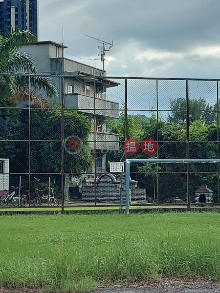 大頭嶺村 (Tai Tau Leng Village) 上水| ()(4)