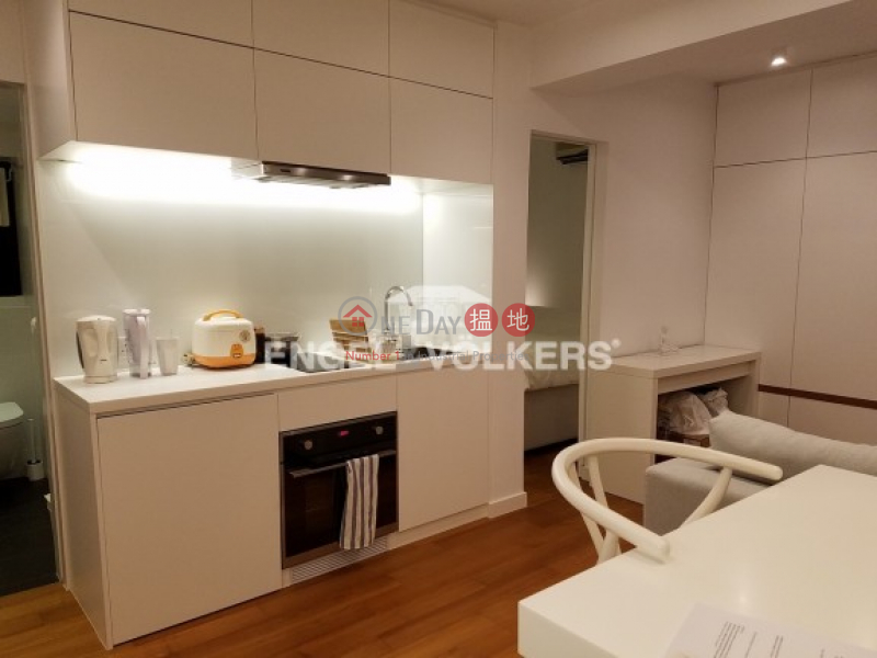 Fully Furnished 1 Bedroom in Caine Tower, Caine Tower 景怡居 Rental Listings | Central District (MIDLE-EVHK39139)