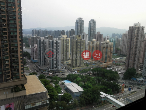 [新元朗中心] 4房大單位, 新元朗中心5座 Sun Yuen Long Centre Block 5 | 元朗 (98233-2661248363)_0