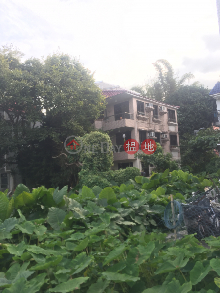 鹿地塘村屋 (Luk Tei Tong Village House) 梅窩|搵地(OneDay)(1)