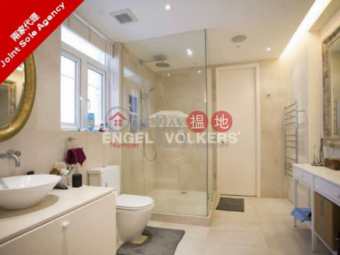 Luxurious Apartment in 49B-49C Robinson Road | 49B-49C Robinson Road 羅便臣道49B-49C號 _0