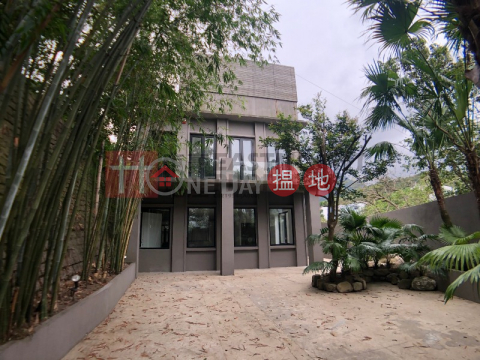 Clearwater Bay Village House | Property For Sale in Tan Shan 炭山-Detached, High ceiling | Property ID:172 | Tan Shan Village House 炭山村屋 _0