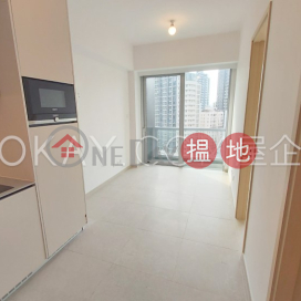 1房1廁,星級會所,露台采文軒出租單位