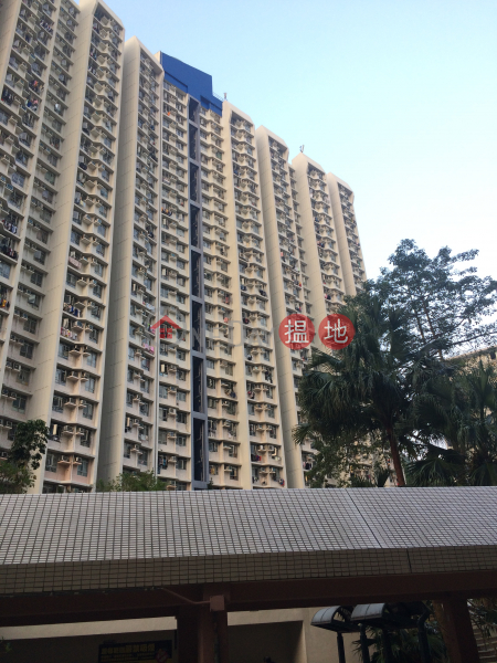 Lei Muk Shue Estate Kwai Shue House (梨木樹邨 葵樹樓),Tai Wo Hau | ()(2)