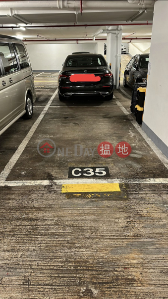 Elegant Terrace Basement, Carpark Rental Listings, HK$ 2,900/ month