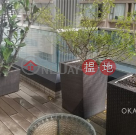 Gorgeous 3 bedroom with terrace | Rental, The Summa 高士台 | Western District (OKAY-R287823)_0