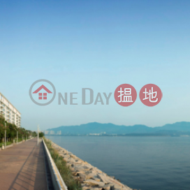 科學園三房兩廳筍盤出售|住宅單位 | 天賦海灣1期12座 Providence Bay Phase 1 Tower 12 _0