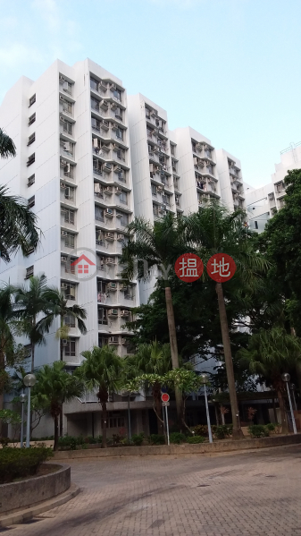 Yun Tin House, Pak Tin Estate (白田邨潤田樓),Shek Kip Mei | ()(4)