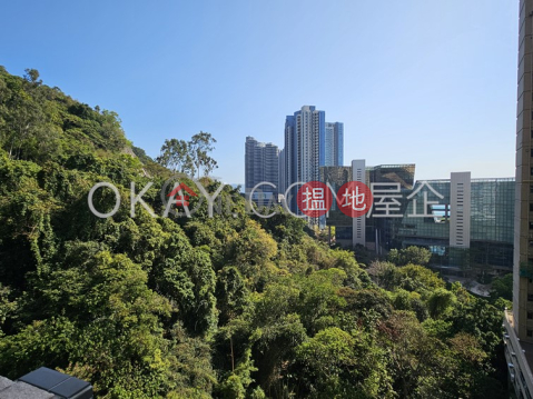 Efficient 4 bedroom with balcony & parking | Rental | Block 45-48 Baguio Villa 碧瑤灣45-48座 _0