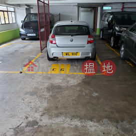 carpark, Tak Wing Industrial Building 德榮工業大廈 | Tuen Mun (TCH32-7489543758)_0