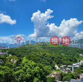 Gorgeous house with rooftop, terrace & balcony | For Sale