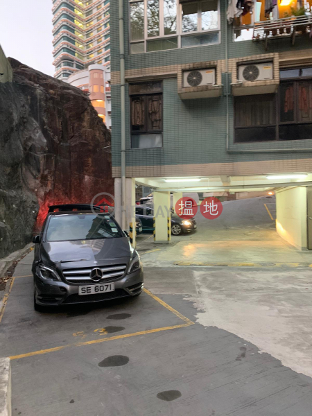 Braemar Hill Ultra Spacious carpark, Alphard MPV access | Oxford Court 豐林閣 Rental Listings