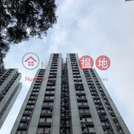 (T-08) Tai Shan Mansion Kao Shan Terrace Taikoo Shing|泰山閣 (8座)