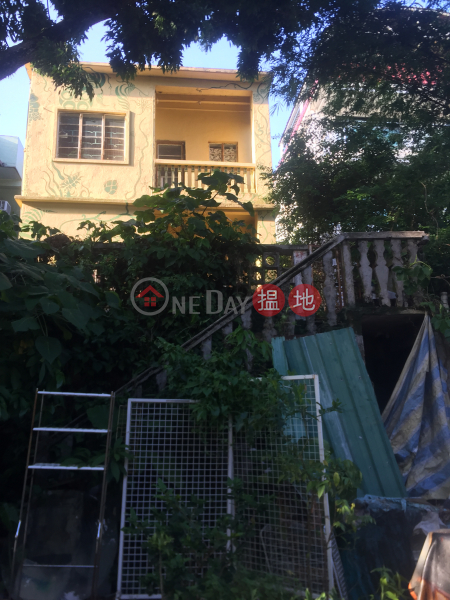 榕樹灣村屋 (Yung Shue Wan Village House) 榕樹灣|搵地(OneDay)(1)