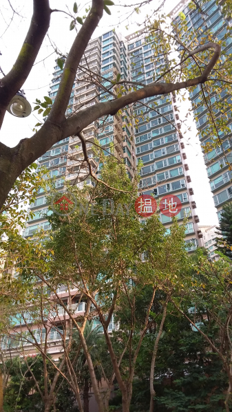 Park Island Phase 5 Tower 30 (Park Island Phase 5 Tower 30) Ma Wan|搵地(OneDay)(4)