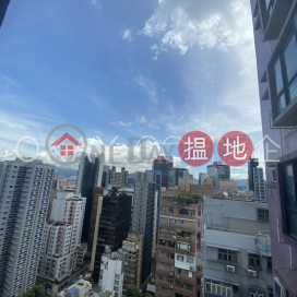 Charming studio on high floor | For Sale, Rich View Terrace 豪景臺 | Central District (OKAY-S61308)_0