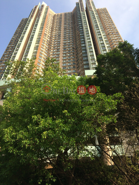 Cayman Rise Block 2 (加惠臺(第2座)),Kennedy Town | ()(3)