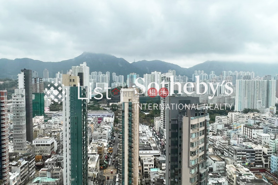 柏德豪廷-未知|住宅出售樓盤-HK$ 3,900萬