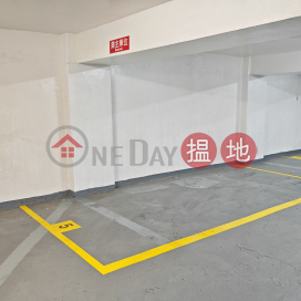 (免佣) 銅鑼灣丨黃金地段丨嘉柏大廈丨單邊私家車車位 | 嘉柏大廈 H & S Building _0