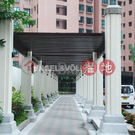 3 Bedroom Family Flat for Rent in Central Mid Levels | Dynasty Court 帝景園 _0