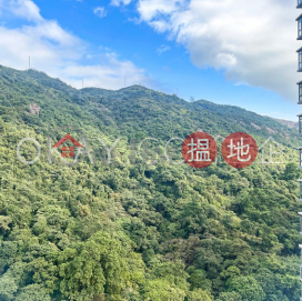 Rare 4 bedroom on high floor with balcony & parking | For Sale | Serenade 上林 _0