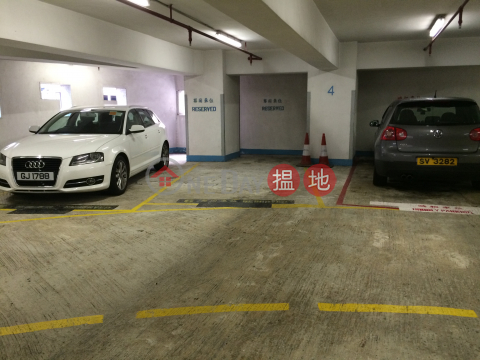 Spacious Carpark located in Central Business District | Central 8 半山捌號 _0