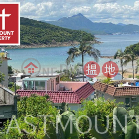 清水灣 Tai Hang Hau, Lung Ha Wan 龍蝦灣大坑口村屋出售-獨立, 海景, 大花園 出售單位
