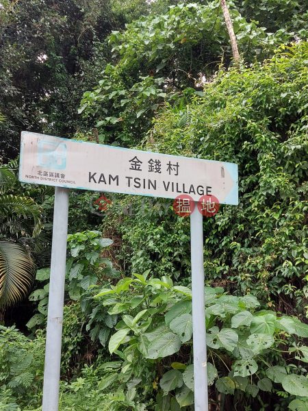 金錢村 (Kam Tsin Village) 古洞| ()(1)