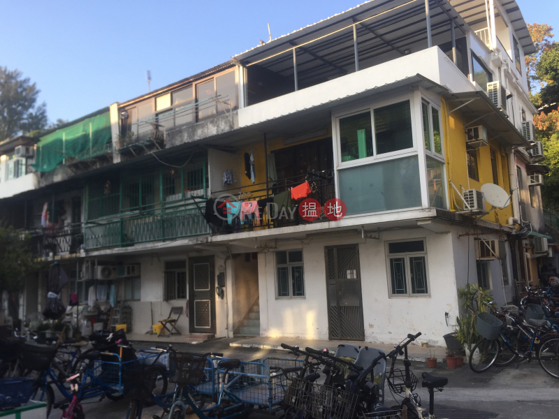 Village House in Nam Wan San Tsuen (Village House in Nam Wan San Tsuen) Peng Chau|搵地(OneDay)(4)