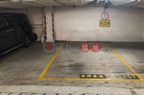 Sai Ying Pun, 118 Connaught Road West, Covered, extra-wide parking space | 118 Connaught Road West 干諾道西118號 _0