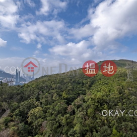 Unique 4 bedroom with balcony & parking | Rental | Parkview Corner Hong Kong Parkview 陽明山莊 眺景園 _0
