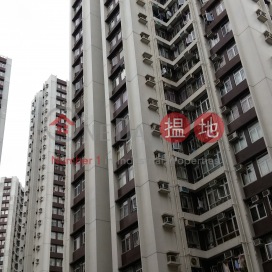 Outdoor Car Park #39 in Taikoo Phase 1, Tsui Woo Terrace 太古城翠湖台 | Eastern District (KAMYE-7452870204)_0