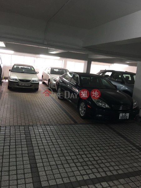 Tandem Carpark 18 and 18A, Emerald Gardens 雅翠園 Sales Listings | Western District (JOHNYU-757760242)