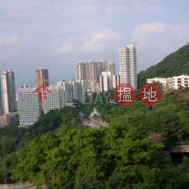 4 Bedroom Luxury Flat for Sale in Pok Fu Lam | Y. Y. Mansions block A-D 裕仁大廈A-D座 _0