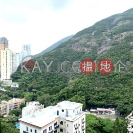 2房2廁,實用率高,極高層,連車位南灣花園 C座出租單位 | 南灣花園 C座 South Bay Garden Block C _0