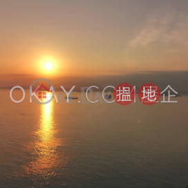 2房1廁,實用率高,極高層,星級會所貝沙灣2期南岸出租單位 | 貝沙灣2期南岸 Phase 2 South Tower Residence Bel-Air _0