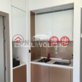 1 Bed Flat for Sale in Shek Tong Tsui, High West 曉譽 | Western District (EVHK38650)_0