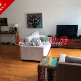 3 Bedroom Family Flat for Sale in Mid Levels West | Robinson Place 雍景臺 _0