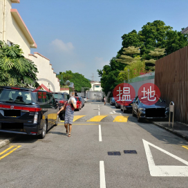 Property for Rent at Hong Lok Yuen Fourteenth Street (House 1-31) with 4 Bedrooms | Hong Lok Yuen Fourteenth Street (House 1-31) 康樂園十四街 (1-31號) _0