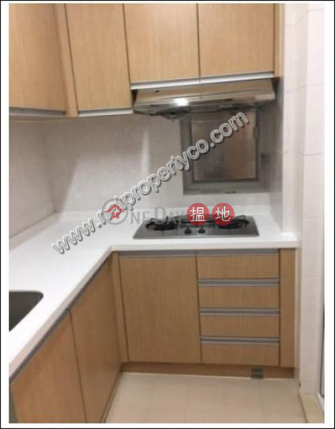 Decent Apartment for Rent in Causeway Bay | Hyde Park Mansion 海德大廈 _0