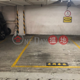 西營盤 干諾道西118號 有蓋 特闊車位 | 干諾道西118號 118 Connaught Road West _0