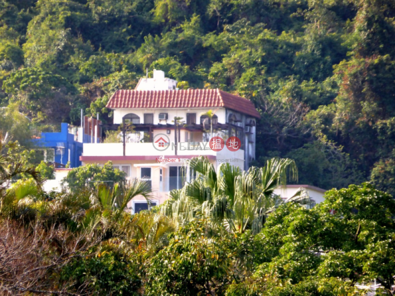 HK$ 19.5M | Lo Wai Tsuen Village House Lantau Island Expat Family Flat for Sale in Chi Ma Wan Peninsula