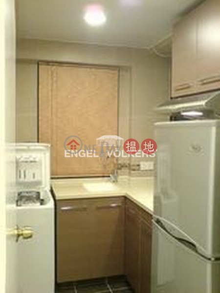 2 Bedroom Flat for Rent in Mid Levels West | 13 Prince\'s Terrace 太子臺13號 Rental Listings