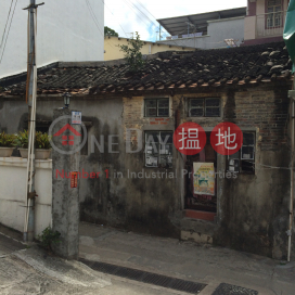 No 111 Pan Chung Village|泮涌村111號