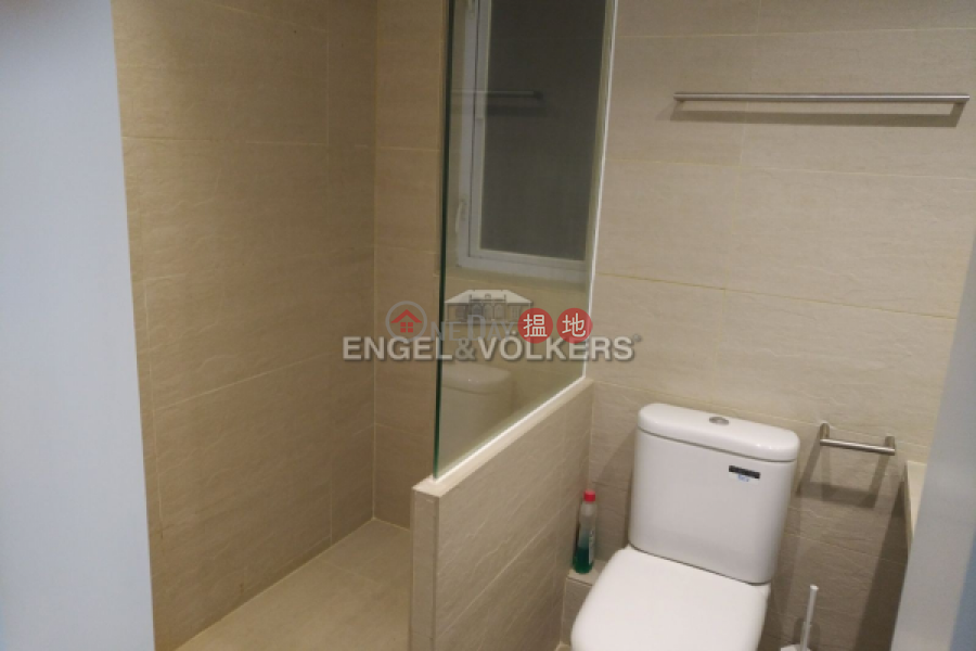 Studio Flat for Sale in Pok Fu Lam, CNT Bisney 美琳園 Sales Listings | Western District (EVHK41393)