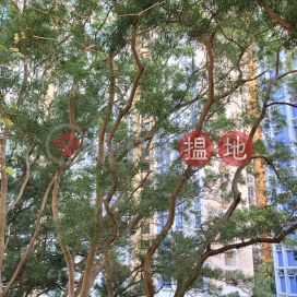 Choi Yeung House (Block A) Choi Ming Court,Tseung Kwan O, New Territories