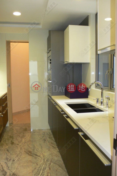 天璽21座6區(彗鑽)|低層18B單位|住宅出售樓盤HK$ 4,800萬