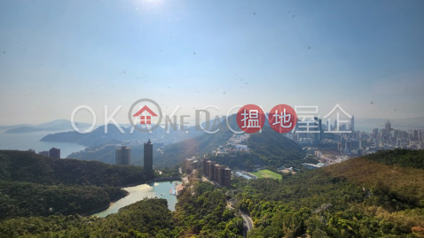 3房3廁,實用率高,極高層,星級會所陽明山莊 眺景園出租單位 | 陽明山莊 眺景園 Parkview Corner Hong Kong Parkview _0