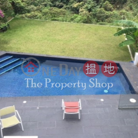 Sai Kung - Beautiful House with Lawn Garden & Private Pool|慶徑石村屋(Hing Keng Shek Village House)出售樓盤 (INFO@-2705888350)_0